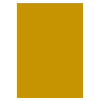 CARTONCINI 70X100 GR.250 10FF ORO A322011