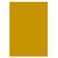 CARTONCINI 70X100 GR.250 10FF ORO A322011