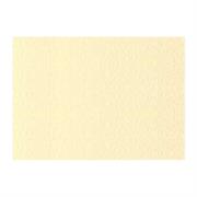 FOGLI PRISMA 50X70 GR.220 FF20 CAMOSCIO A33R012