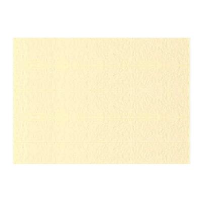 FOGLI PRISMA 50X70 GR.220 FF20 CAMOSCIO A33R012