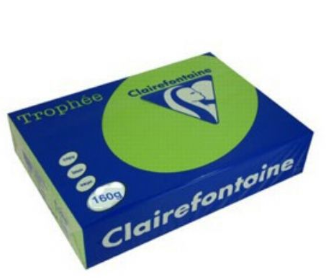 CARTA TROPHEE A4 GR.160 VERDE MENTA