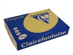 CARTA TROPHEE A4 GR.160 ORO