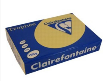 CARTA TROPHEE A4 GR.160 ORO
