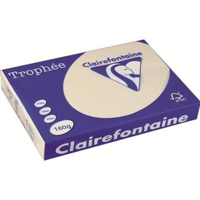 CARTA TROPHEE A3 GR.160 250 FOGLI AVORIO 1108