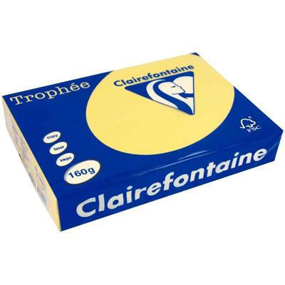 CARTA TROPHEE A3 GR.160 ORO