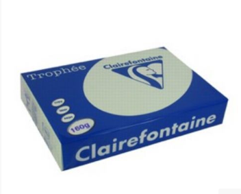 CARTA TROPHEE A3 GR.160 VERDE PALLIDO 1143