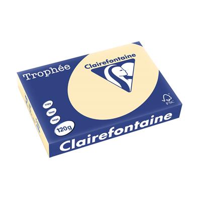 CARTA TROPHEE A4 GR.120 CAMOSCIO 250FF 1203