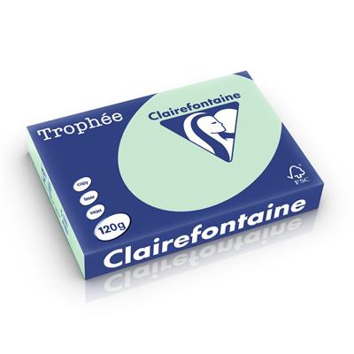 CARTA TROPHEE A4 GR.120 VERDE FOGLI 250 1216