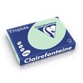 CARTA TROPHEE A4 GR.120 VERDE FOGLI 250 1216