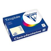 CARTA TROPHEE A4 GR.120 250 FOGLI AVORIO 1242