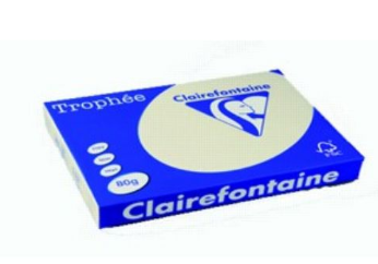 CARTA TROPHEE A3 GR.80 CAMOSCIO 500 FOGLI