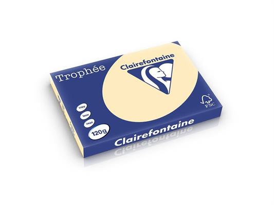 CARTA TROPHEE A3 GR.120 CAMOSCIO 250FF