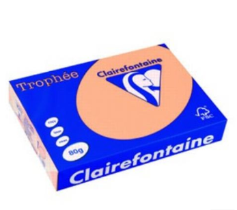CARTA TROPHEE A4 GR.80 SALMONE 500 FOGLI