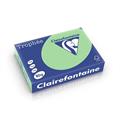 CARTA TROPHEE A3 GR.80 VERDE NATURA 500 FOGLI