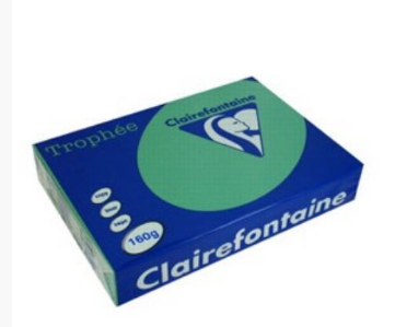 CARTA TROPHEE A4 GR.80 VERDE NATURA 500 FOGLI