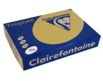 CARTA TROPHEE A4 GR.80 ORO 500 FOGLI