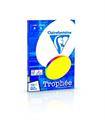 CARTA TROPHEE A4 GR.80 100F COLORI INTENSI 1876/0C