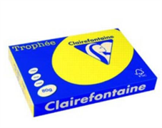 CARTA TROPHEE A3 GR.80 GIALLO INTENSO