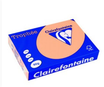 CARTA TROPHEE A3 GR.80 500 FOGLI SALMONE 1892