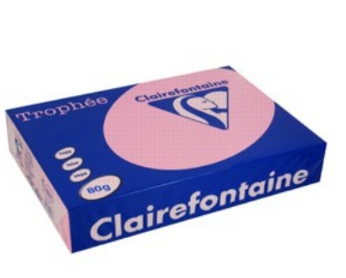 CARTA TROPHEE A4 GR.80 ROSA CANINA 500 FOGLI