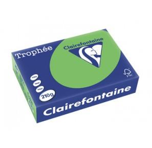 CARTA TROPHEE A4 GR.210 VERDE MENTA