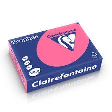 CARTA TROPHEE A4 GR.210 PINK