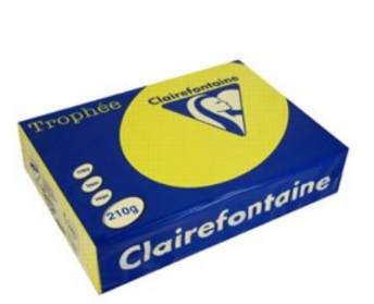 CARTA TROPHEE A4 GR.210 GIALLO SOLE