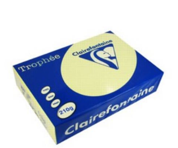 CARTA TROPHEE A4 GR.210 GIALLO CANARINO