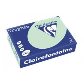 CARTA TROPHEE A4 GR.210 VERDE