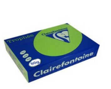 CARTA TROPHEE A4 GR.160 VERDE PASTELLO