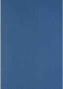 SUPPORTI A4 GR.240 100 FOGLI BLUE 2768