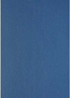 SUPPORTI A4 GR.240 100 FOGLI BLUE 2768