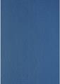 SUPPORTI A4 GR.240 100 FOGLI BLUE 2768