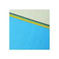 SUPPORTI A4 GR.240 BLUE CIELO 100FF