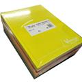 MAXI CARTONATO A4 CIAC - VERNICE FRESCA 1R