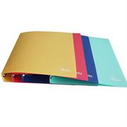 RACCOGLITORE ANELLI A4 D.16 VERNICE FRESCA COL.PASTELLO