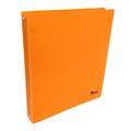 RACCOGLITORE ANELLI A4 D.30 VERNICE FRESCA COL. PASTELLO