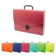 VALIGETTA PPL 1 CHIUS.27,5X37X5 D8 VERNICE FRESCA COL.PA