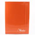 CARTELLINA 3L PIATTA 600 GR. PLASTIF.LUCIDA 9 COLOR VERN
