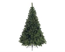 PINO IMPERIALE ALBERO NATALE 300CM DIAM.178CM VERDE