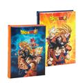 DIARIO 12 MESI STANDARD DRAGONBALL