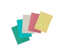 CARTELLE TRE LEMBI ECO' PZ.50 ASSORTITE 0388