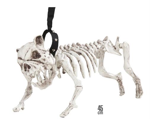 SCHELETRO CANE C/LUCI 40X19X19 112913