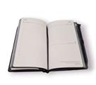 AGENDA COMIX 12M DAY LARGE TIFFANY