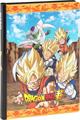 DIARIO 12MM STD NERO DRAGON BALL SUPER 73319NE