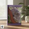 DIARIO 2026-2027 12MM STD KOALA WWF FOTOGRAFICO 74967KO