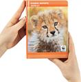 DIARIO 2026-2027 12MM STD LEOPARDO WWF ILLUSTRATO 74987L