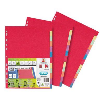 DIVISORI COLORATI A4 12FF 100204882
