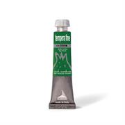 TUBO TEMPERA FINE MAIMERI 20ML VERDEVESCICA M2502358