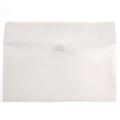 BUSTE EXECUTIVE AVORIO PZ.10 11X22CM 90GR